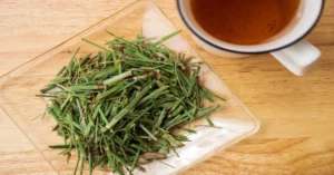 Lyposingrass: A Complete Guide to Its Health Benefits and Everyday Uses